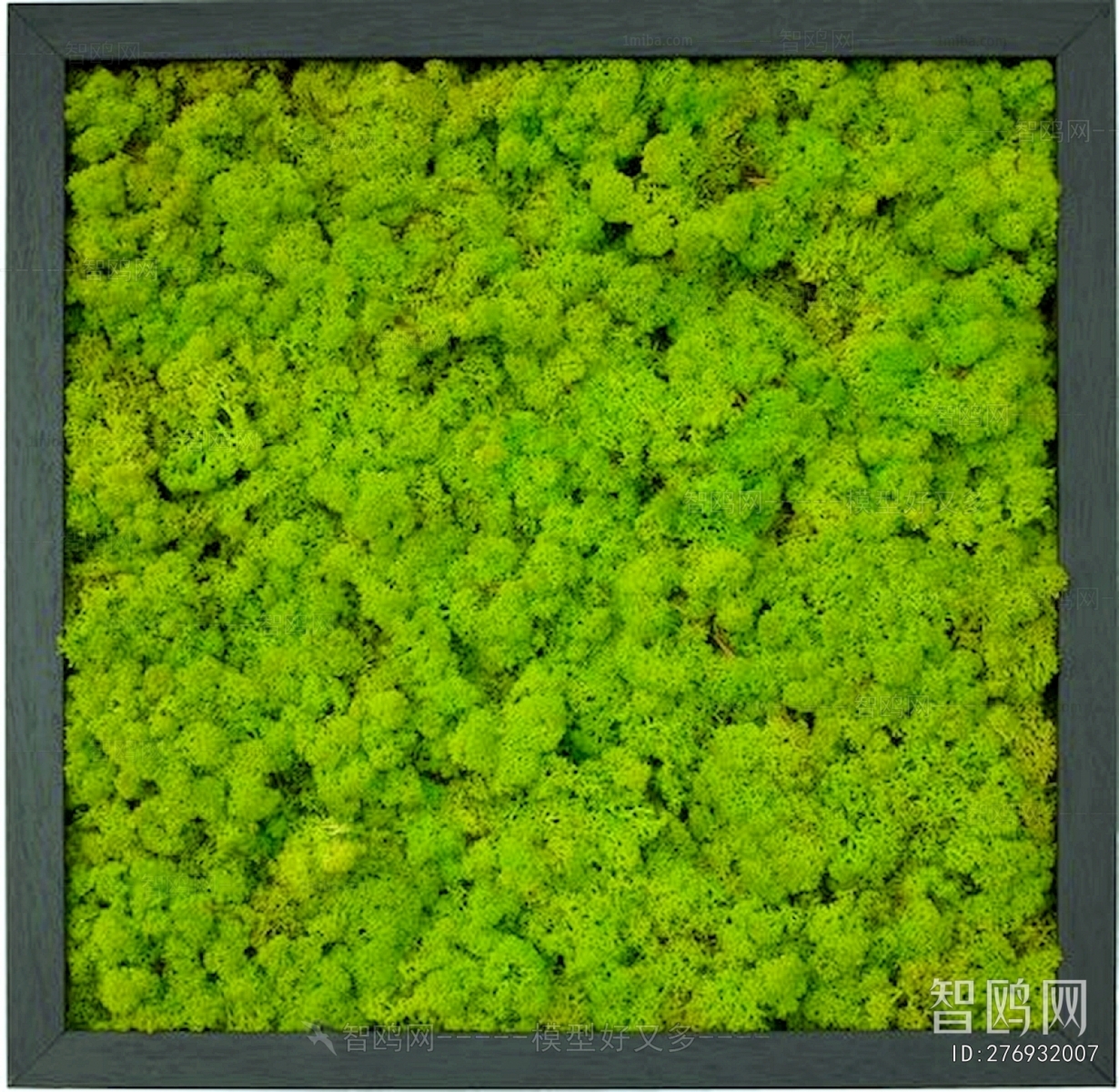 植物墙绿植墙