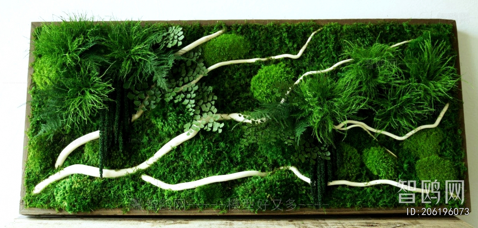 植物墙绿植墙