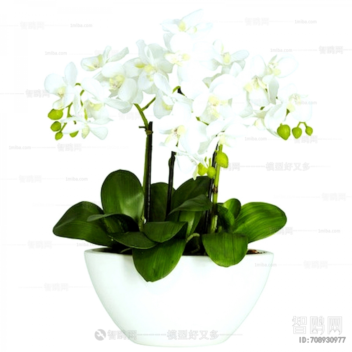 植物墙绿植墙