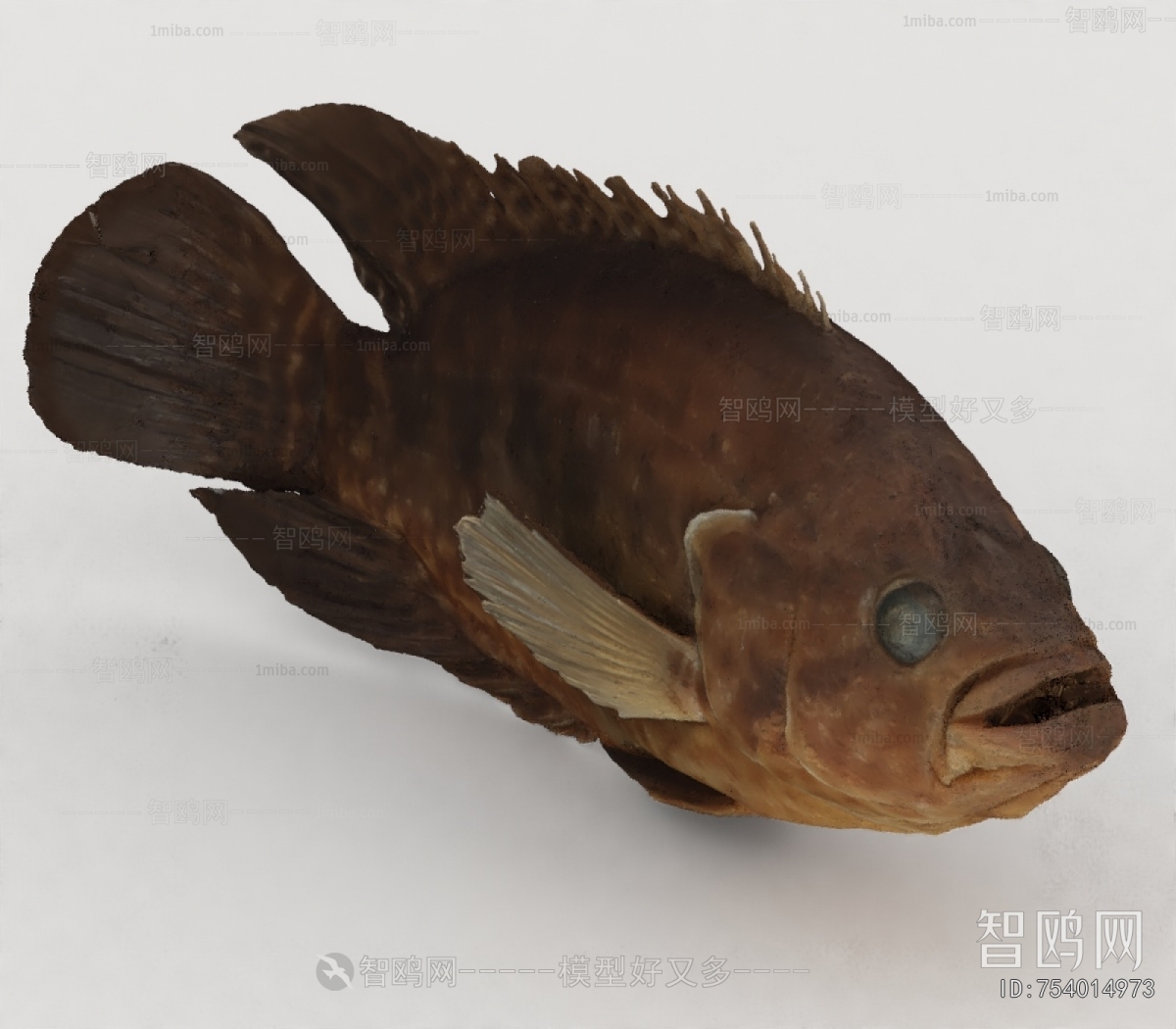 Modern Aquatic Animals