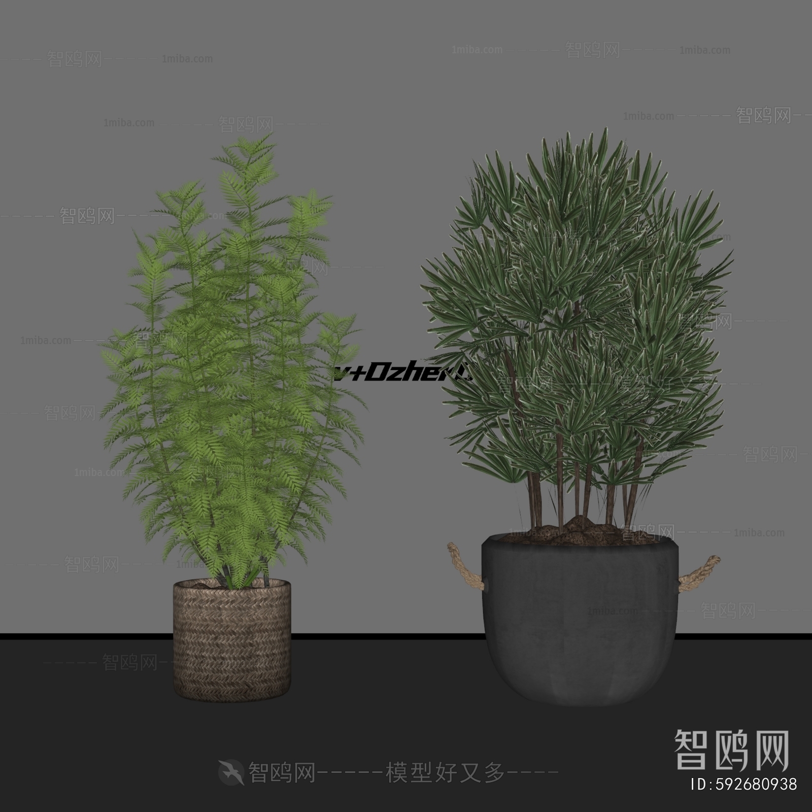 Modern Ground Green Plant Potted Plants