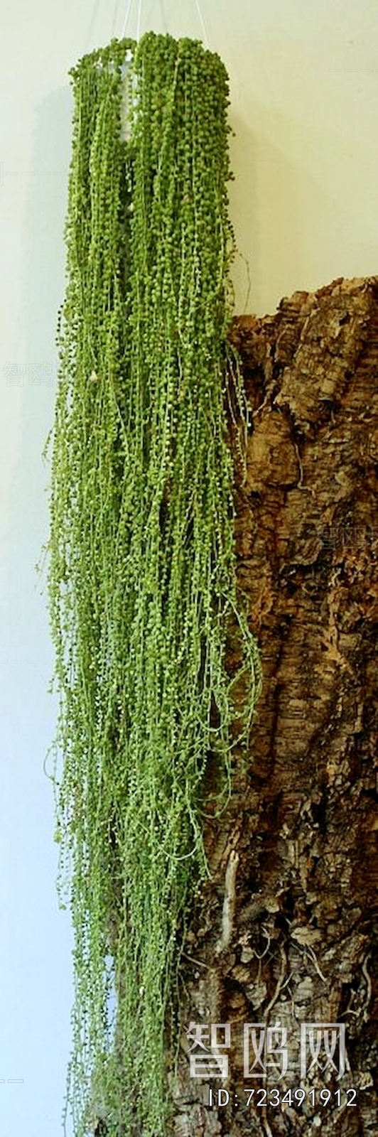 植物墙绿植墙