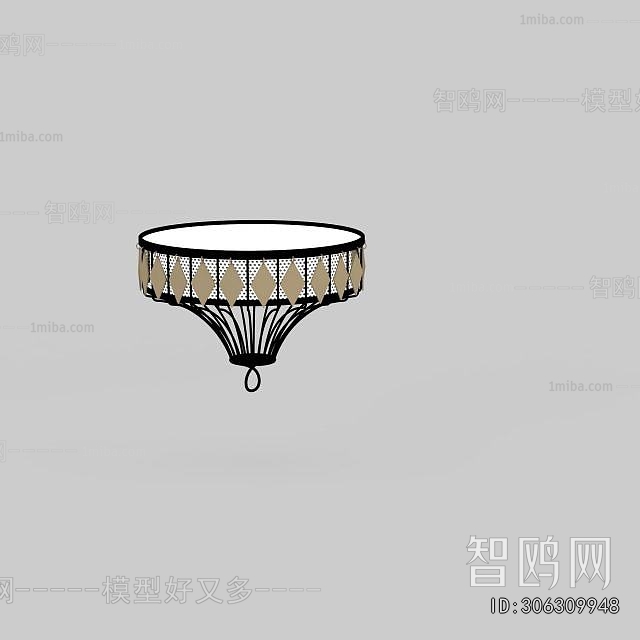 Modern Ceiling Ceiling Lamp