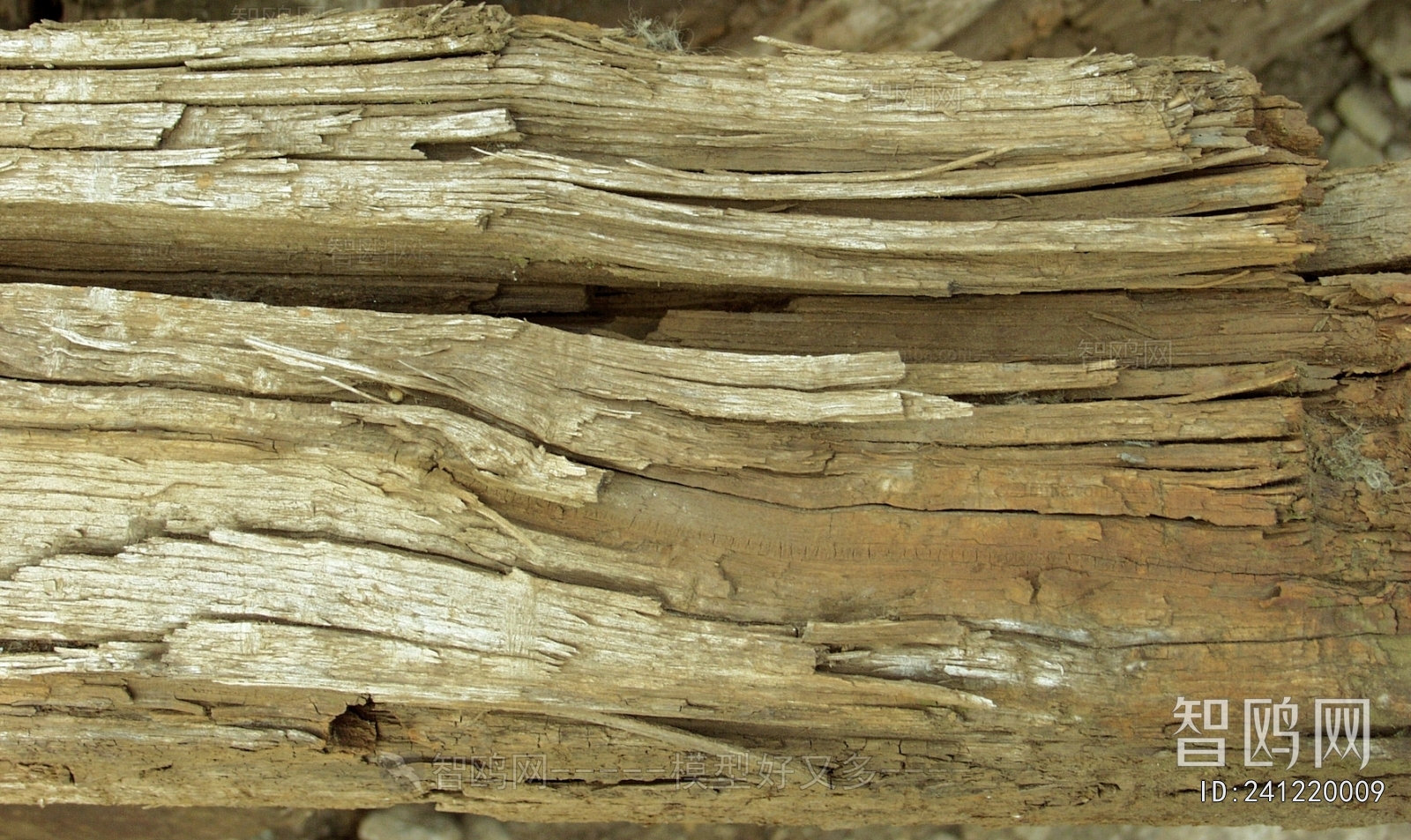 Old Wood Texture