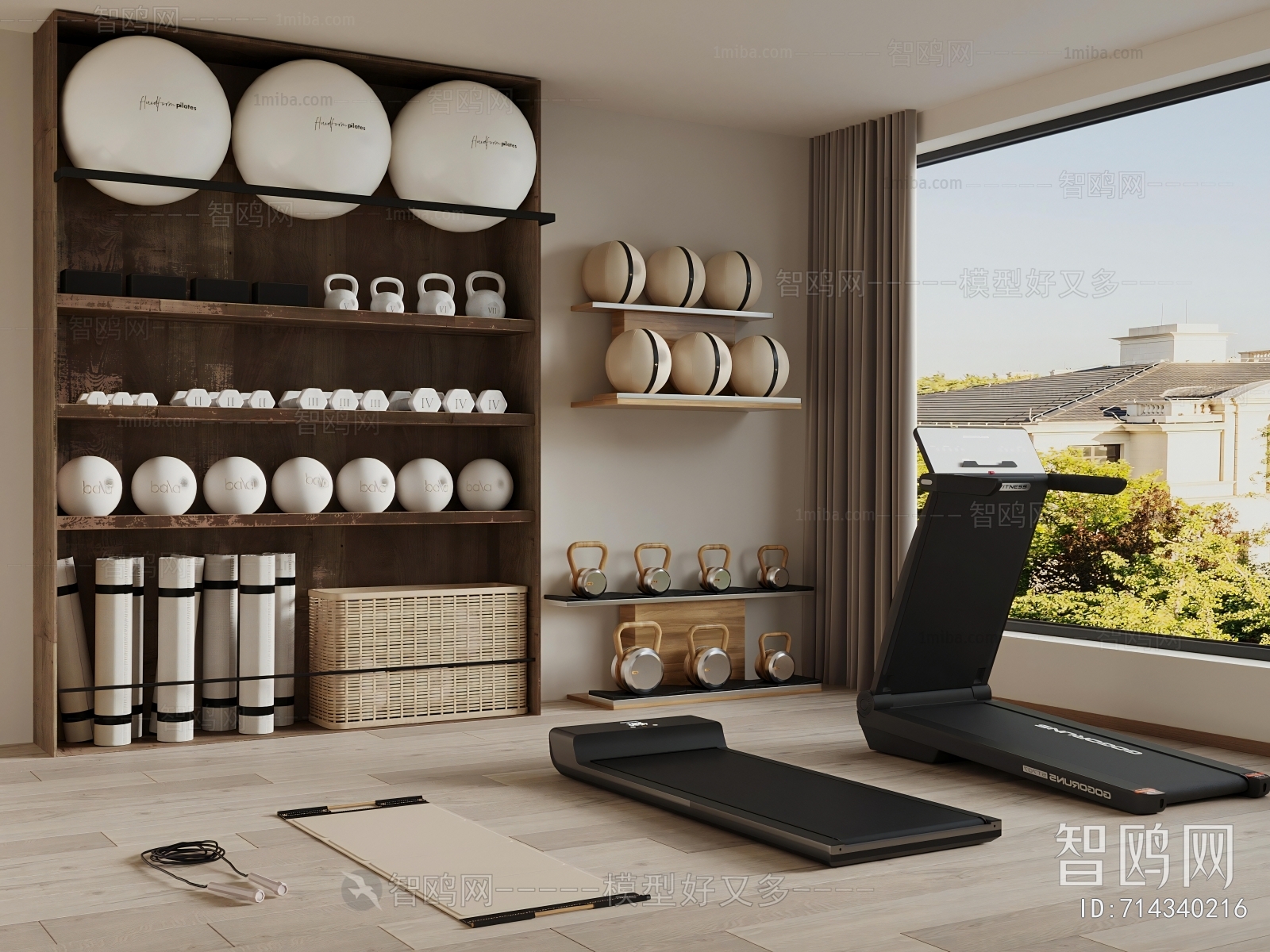 Modern Home Fitness Room