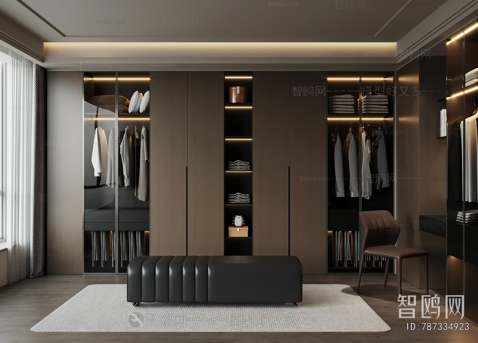 Modern Clothes Storage Area
