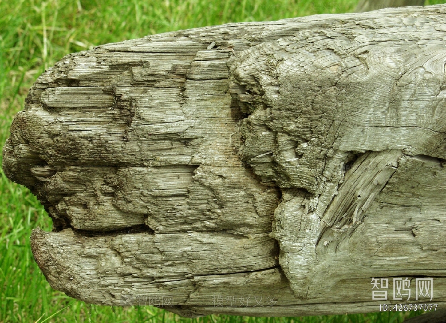 Old Wood Texture