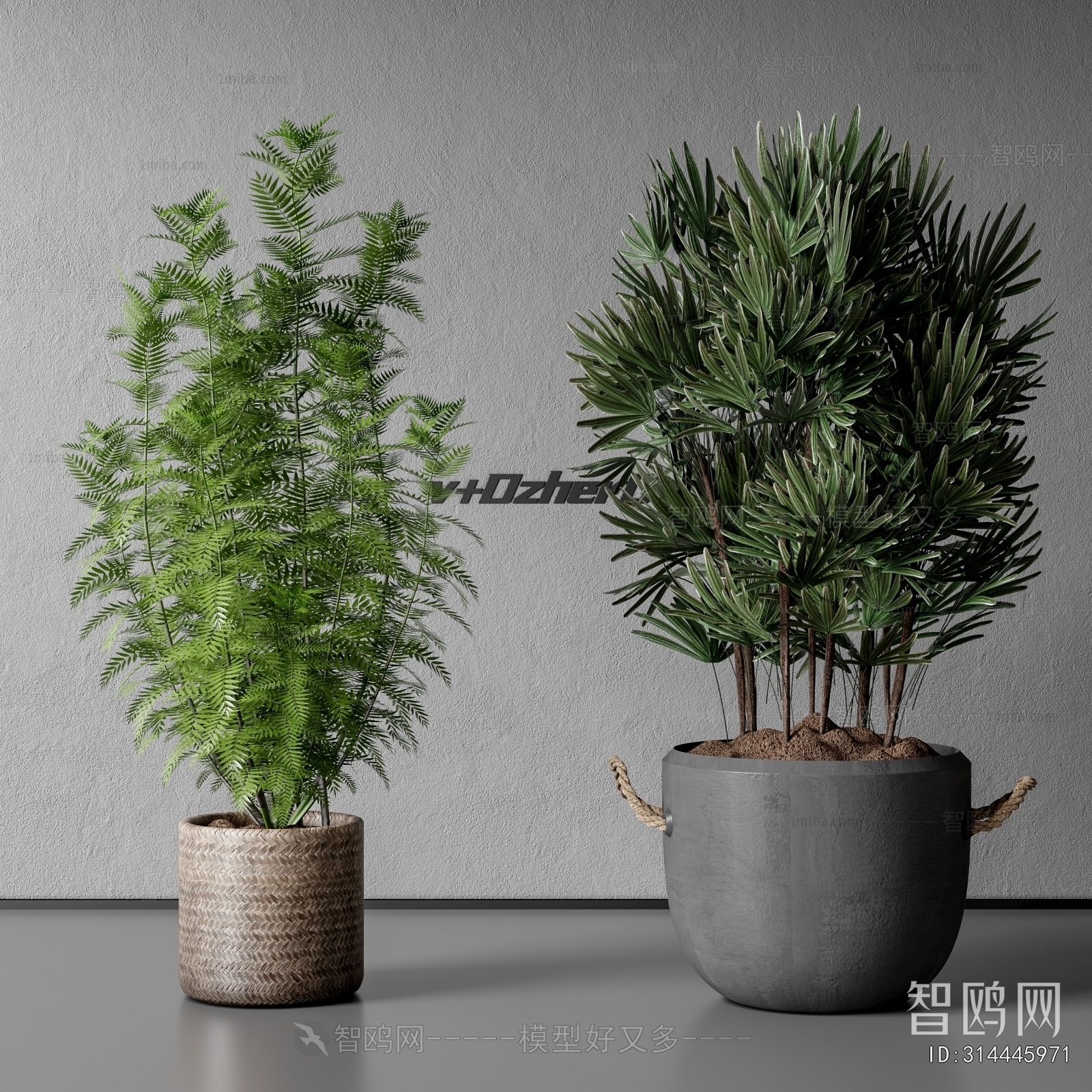 Modern Ground Green Plant Potted Plants