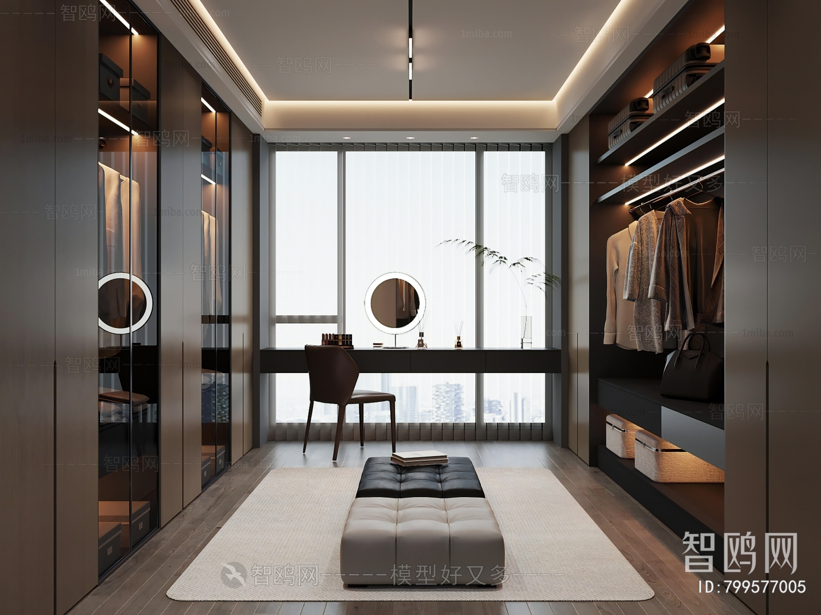 Modern Clothes Storage Area