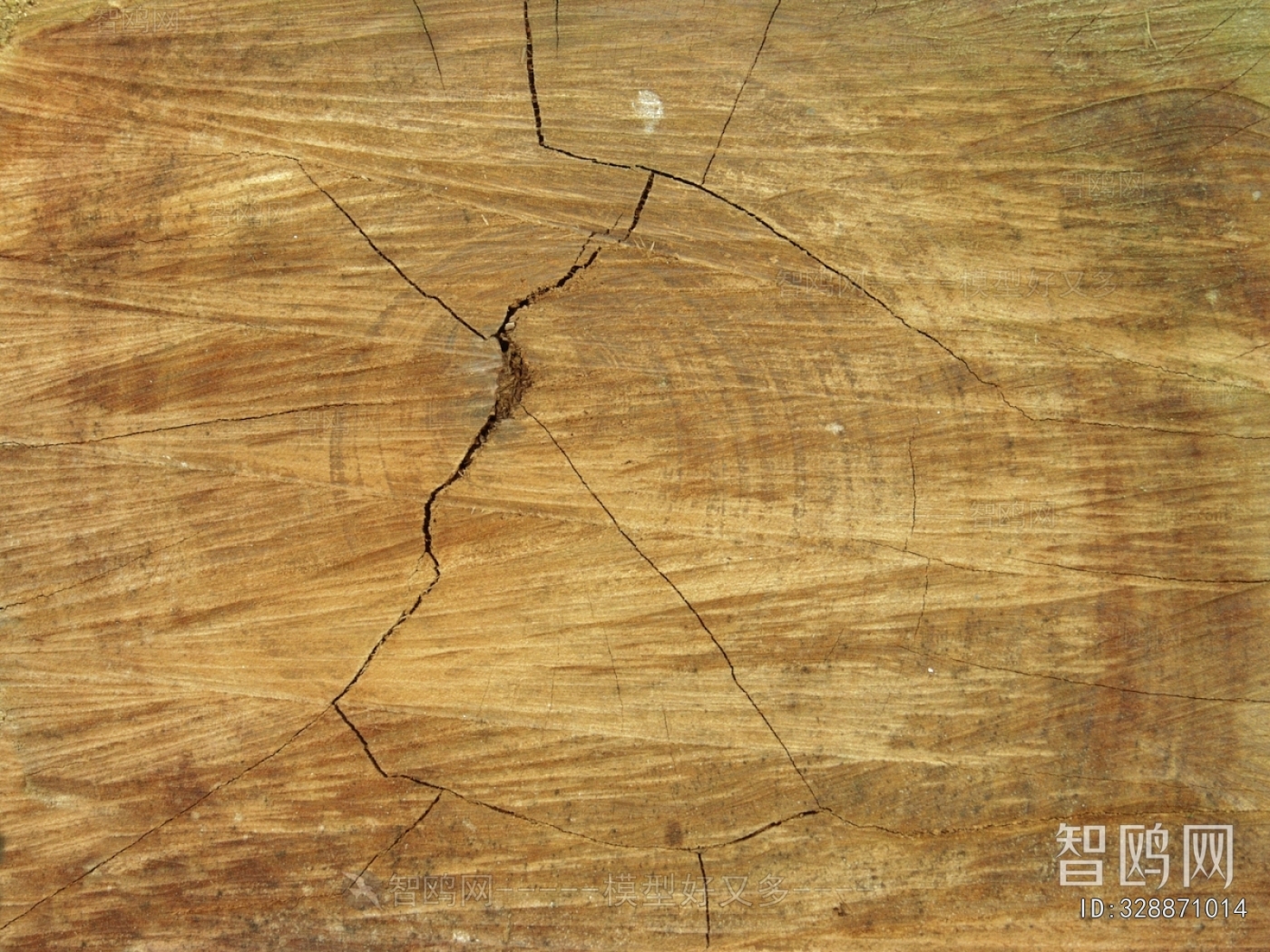 Old Wood Texture