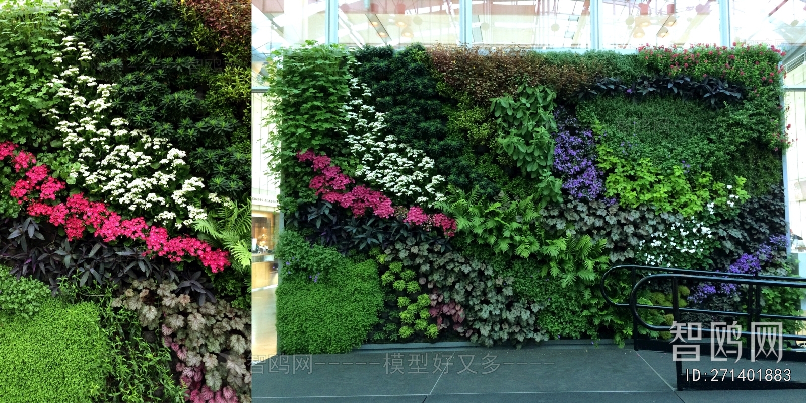 植物墙绿植墙