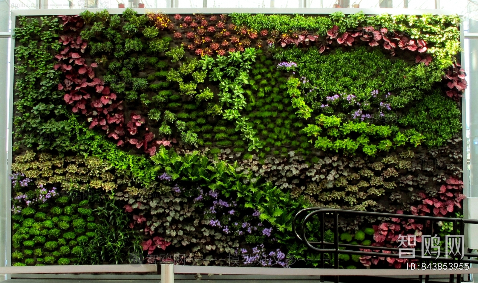 植物墙绿植墙
