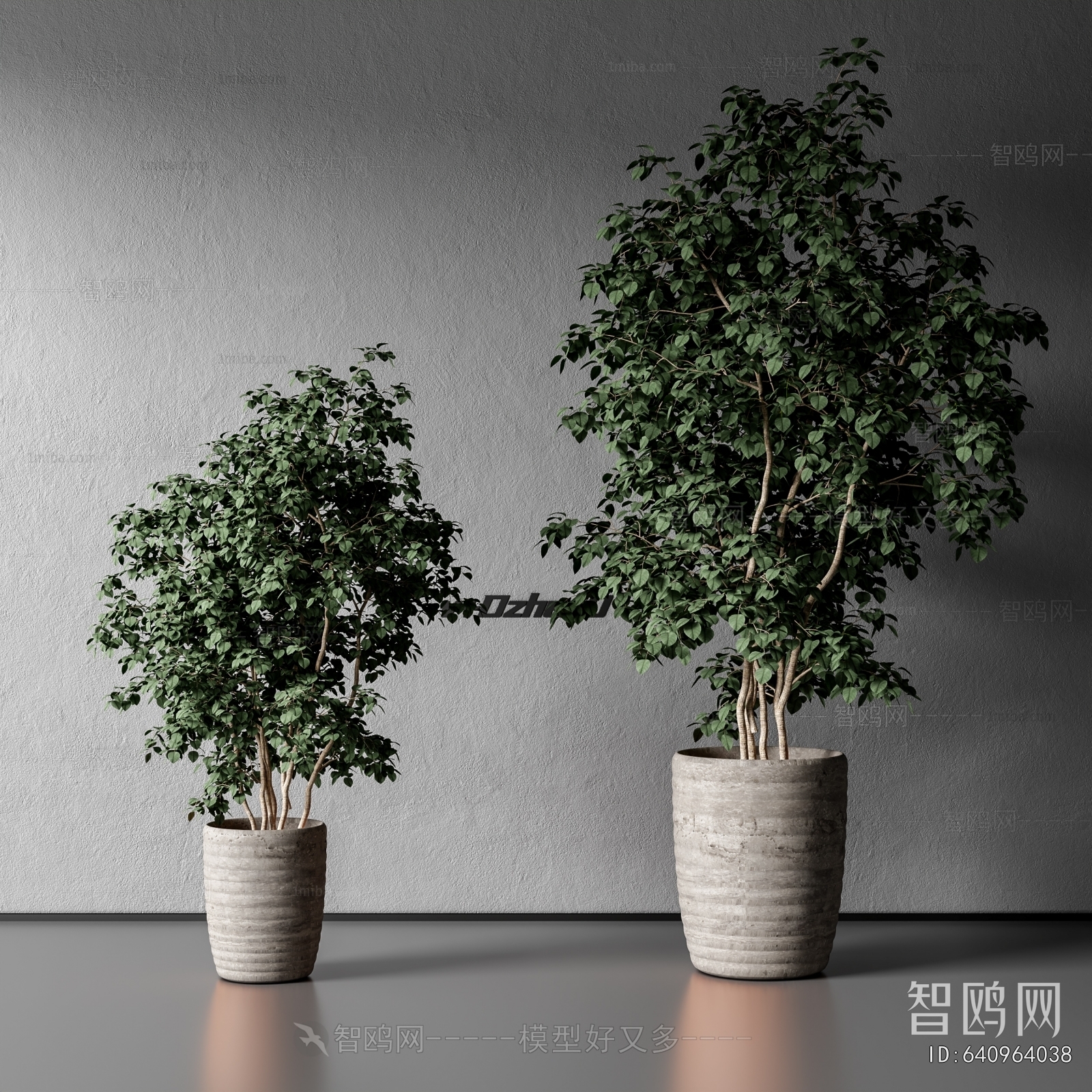 Modern Ground Green Plant Potted Plants