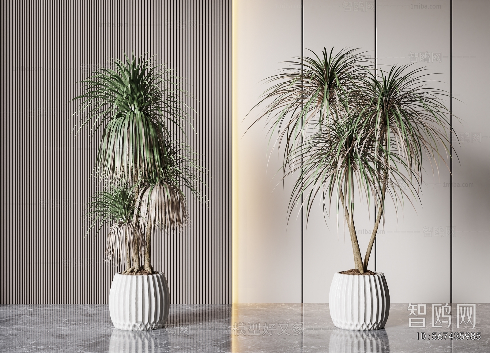 Modern Ground Green Plant Potted Plants