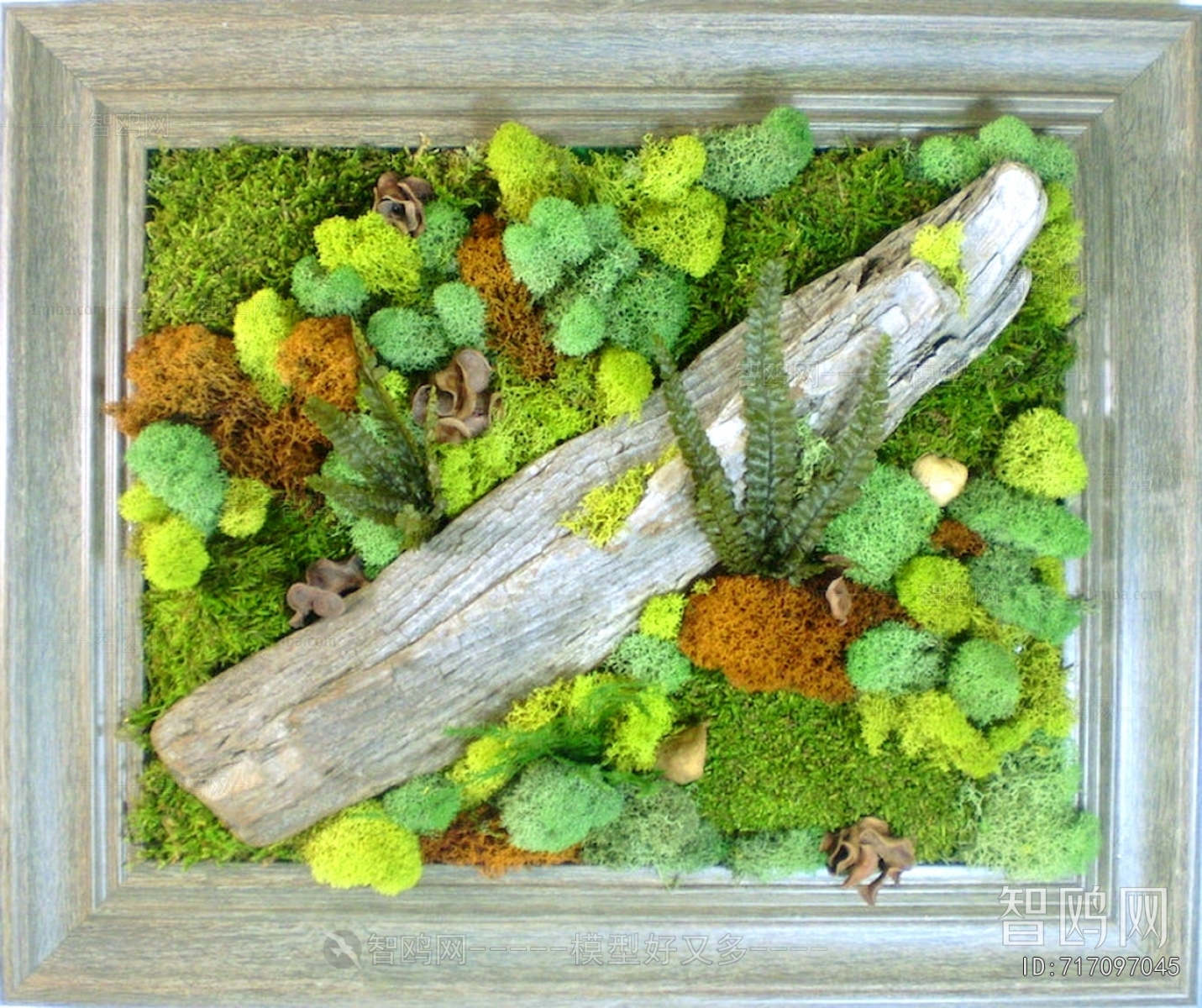 植物墙绿植墙