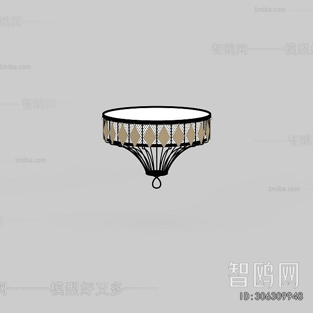 Modern Ceiling Ceiling Lamp