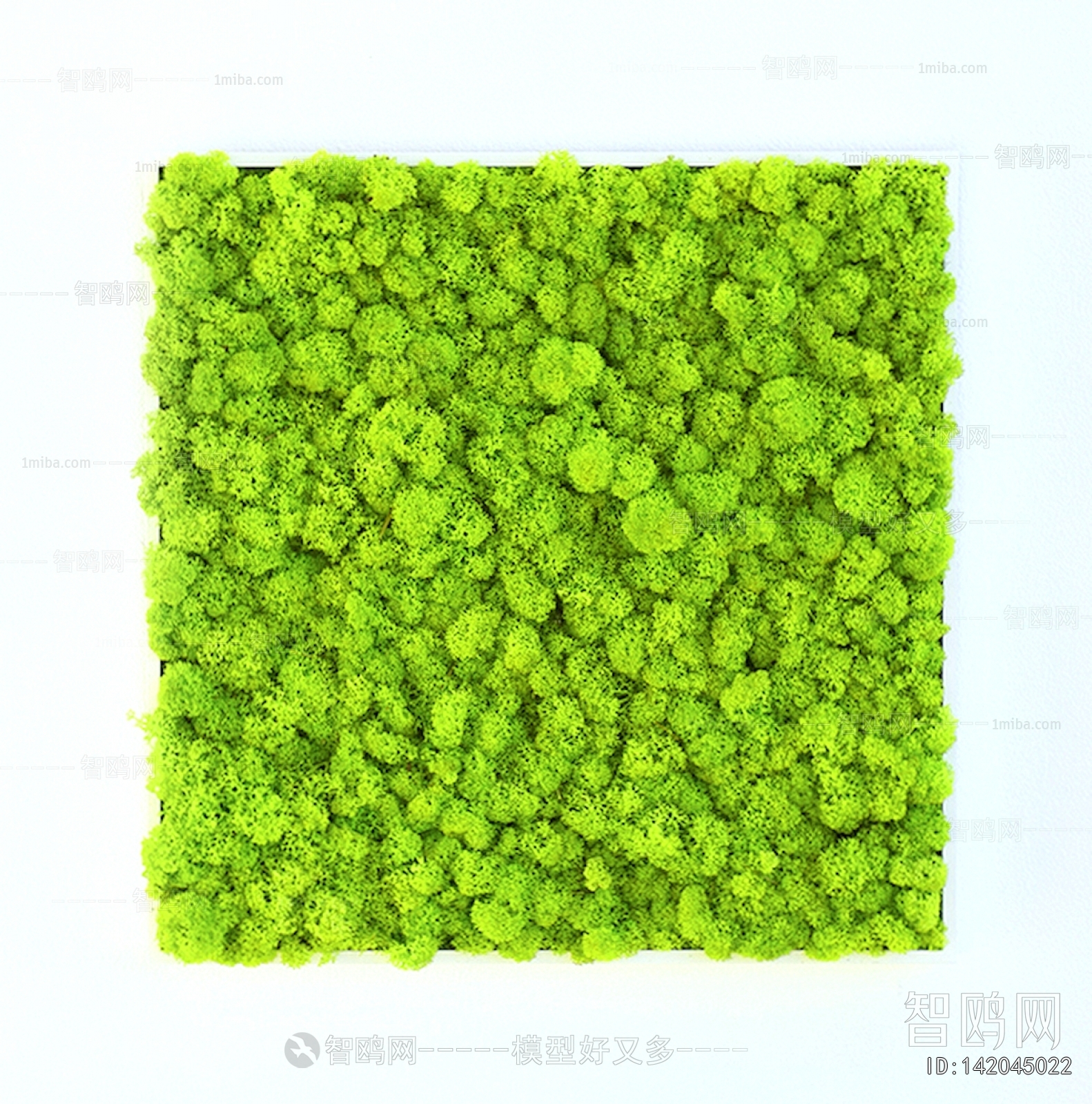 植物墙绿植墙