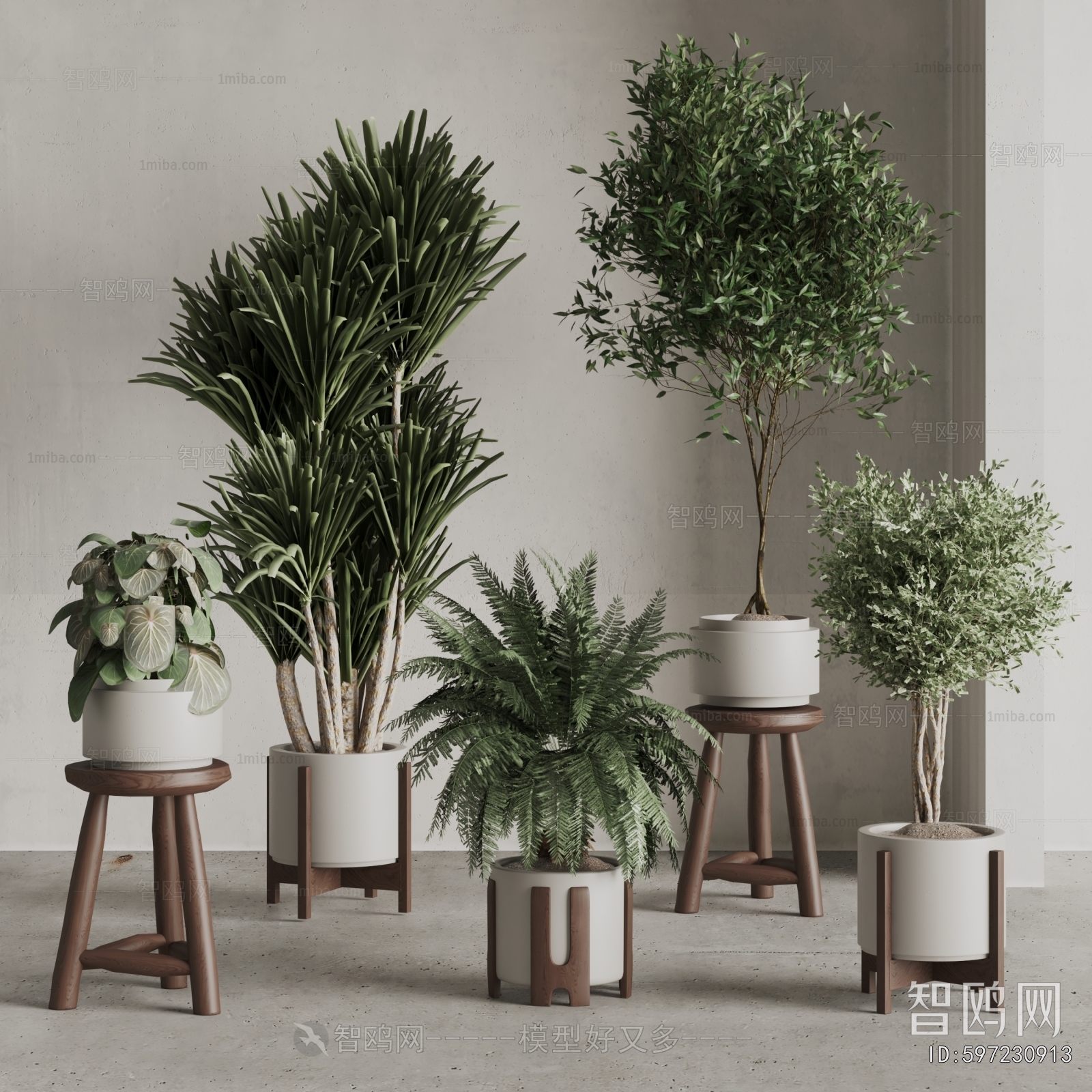 Modern Ground Green Plant Potted Plants