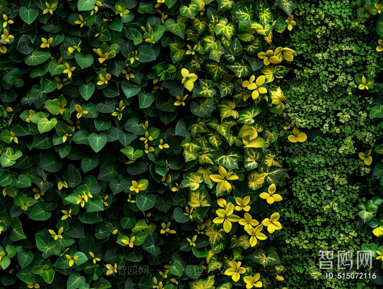 植物墙绿植墙