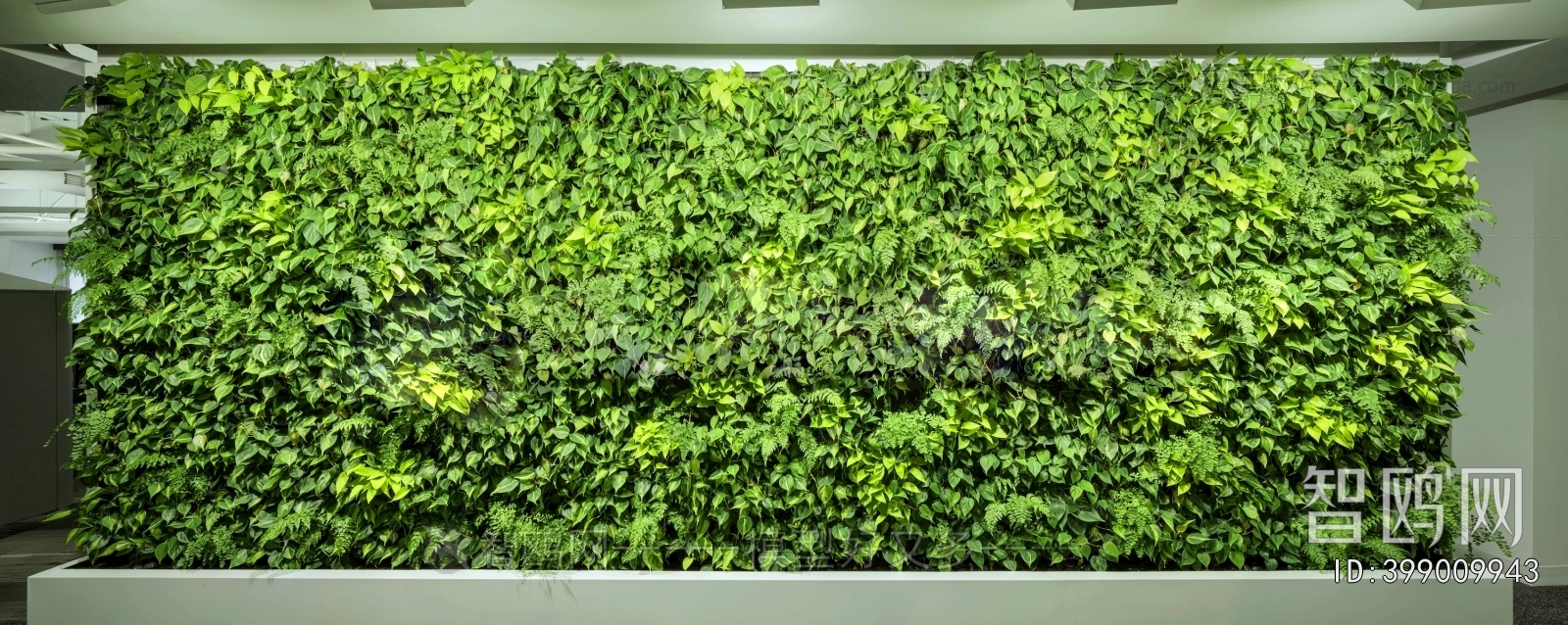 植物墙绿植墙