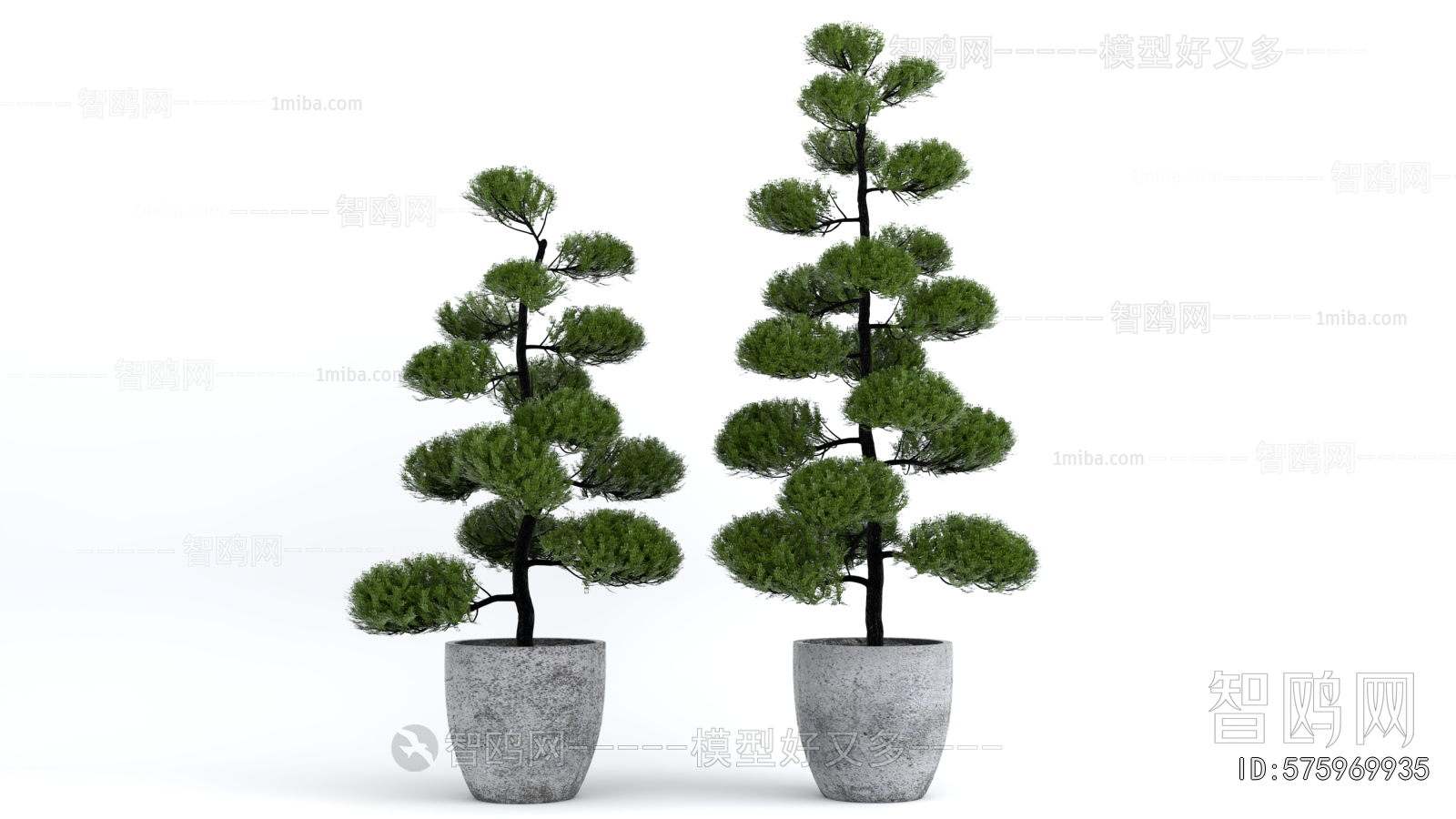Modern Ground Green Plant Potted Plants