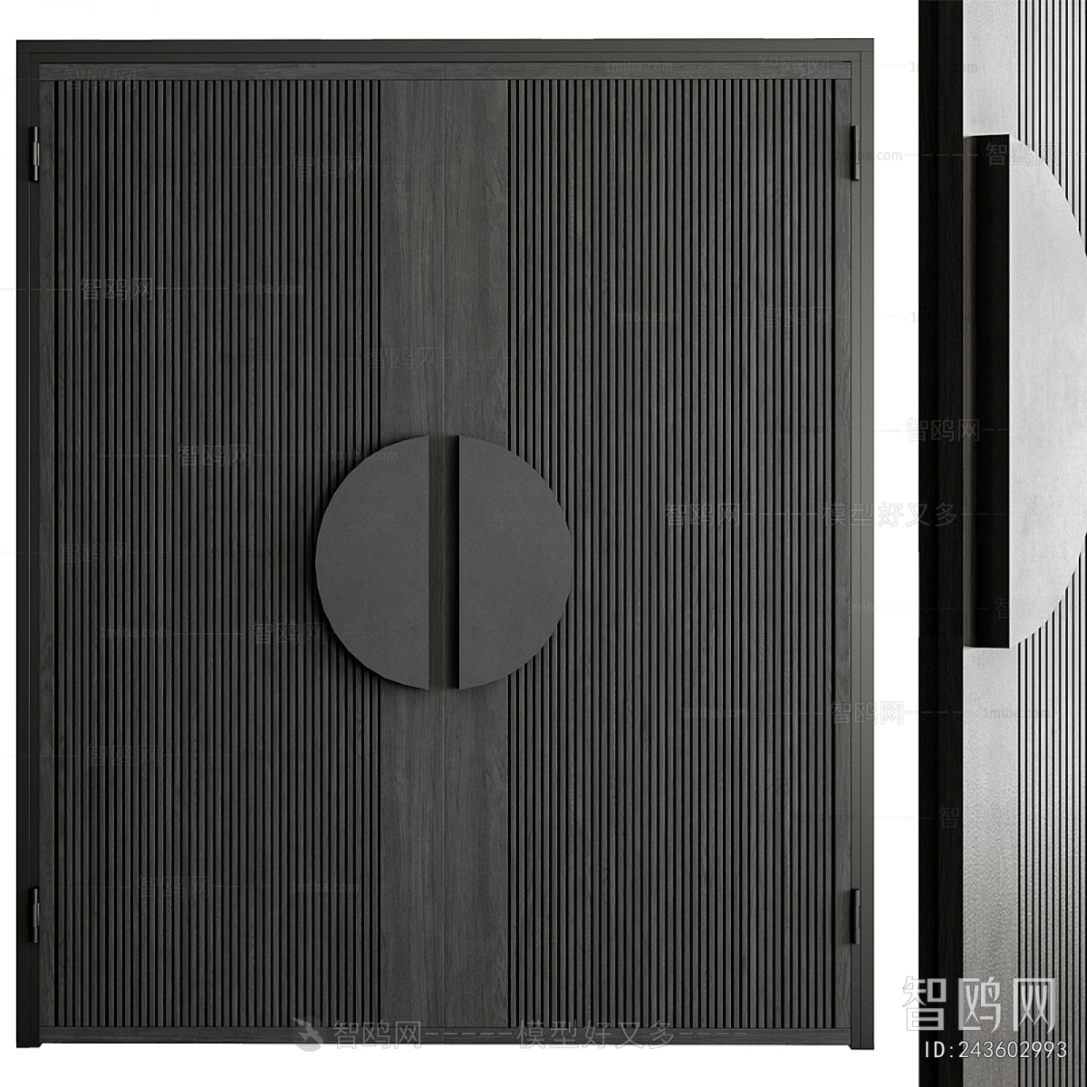 Modern Entrance Door