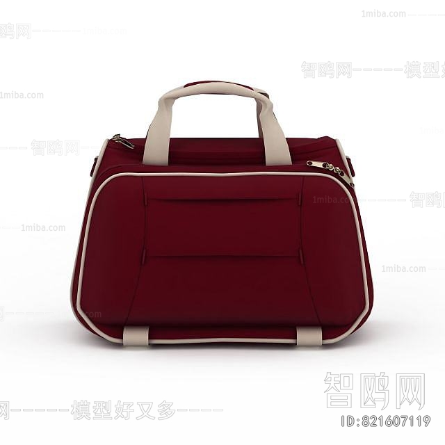 Modern Lady's Bag