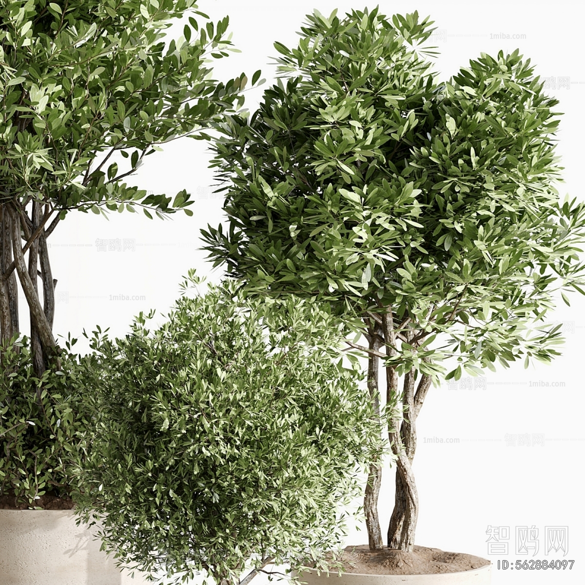 Modern Ground Green Plant Potted Plants