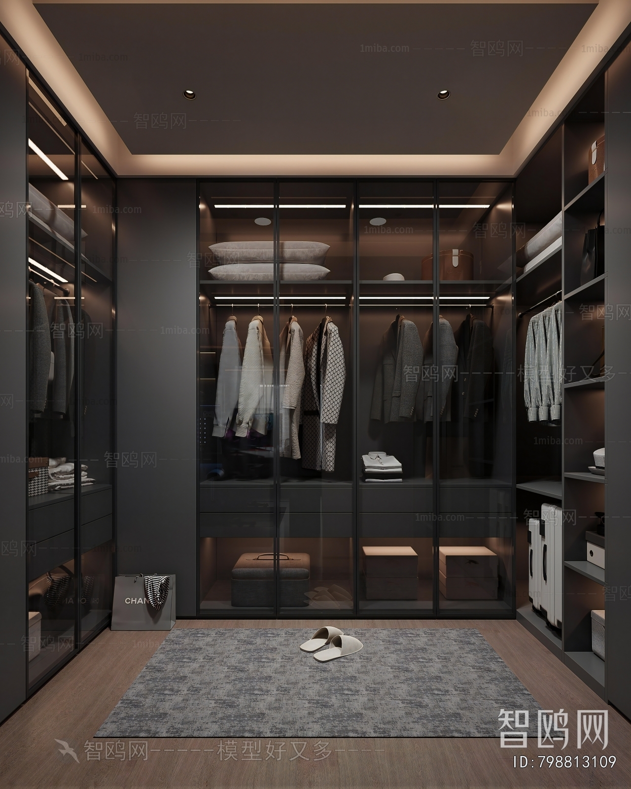 Modern Clothes Storage Area