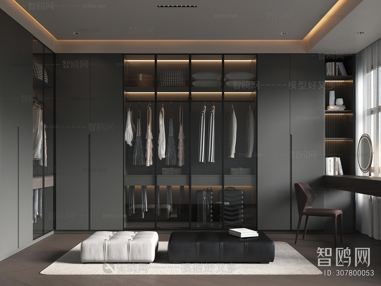 Modern Clothes Storage Area