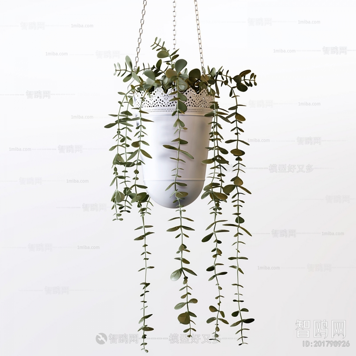 Modern Chlorophytum Comosum