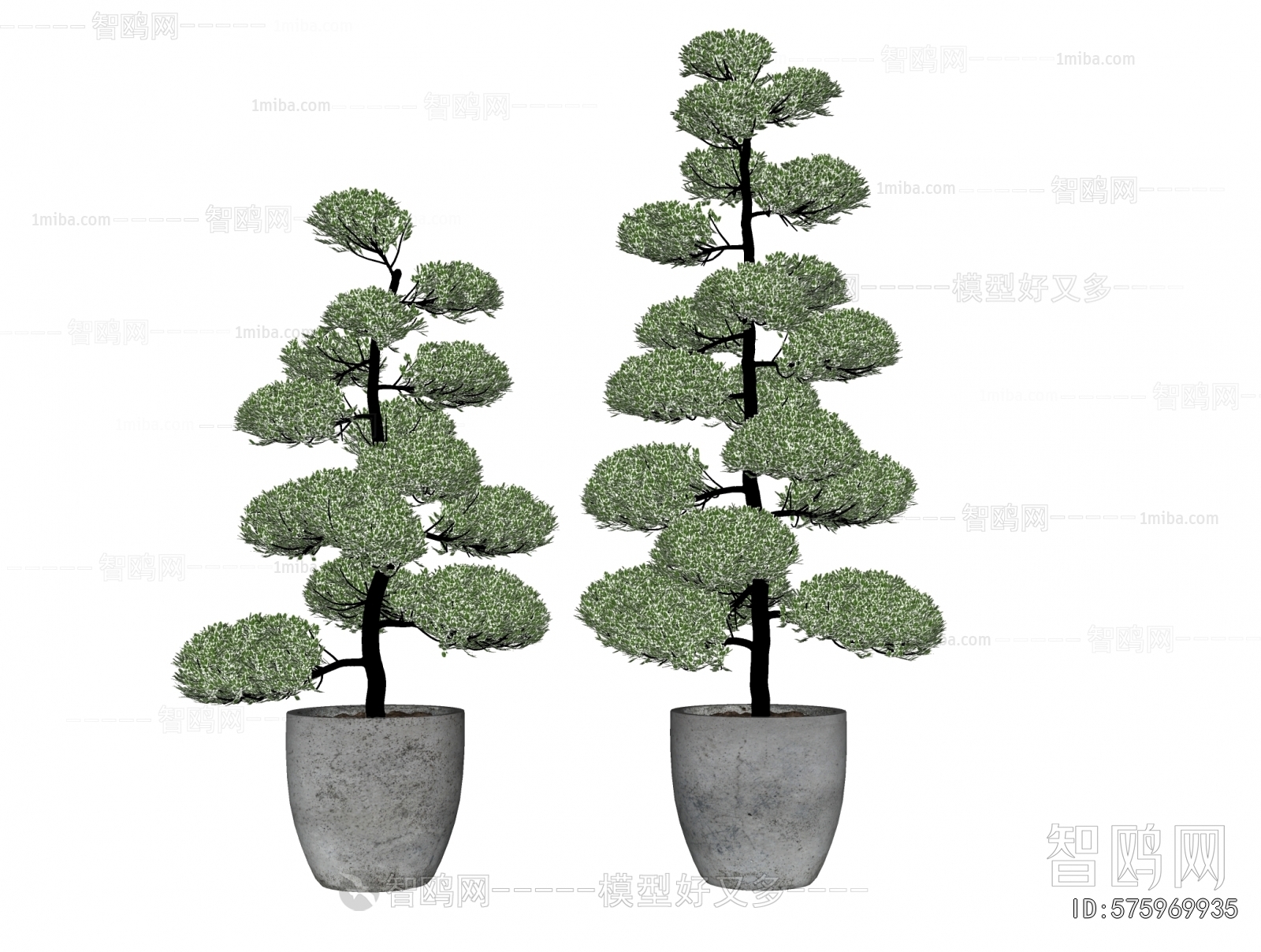 Modern Ground Green Plant Potted Plants
