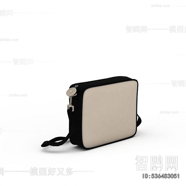 Modern Lady's Bag