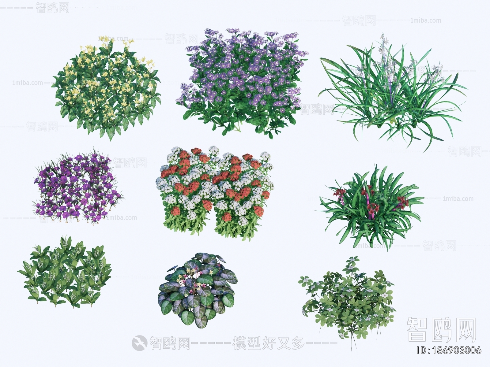 Modern Flowers And Grass