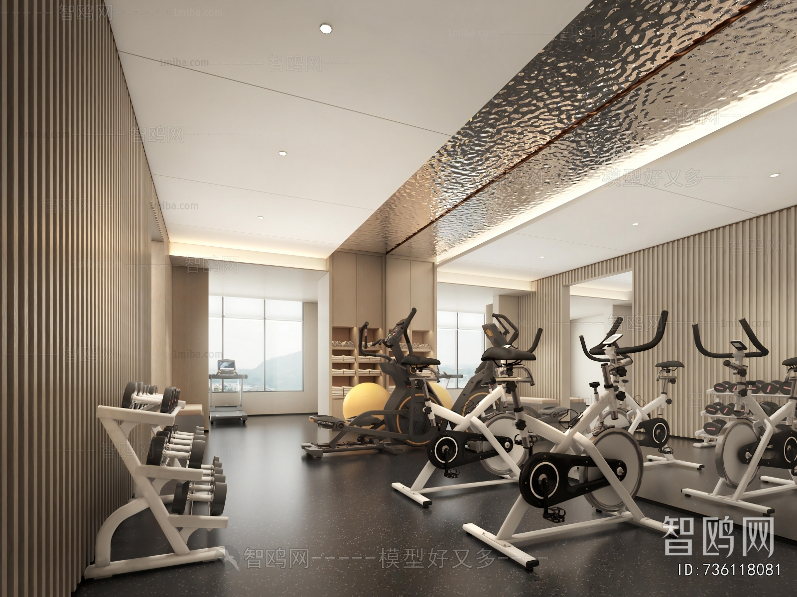 Modern Home Fitness Room