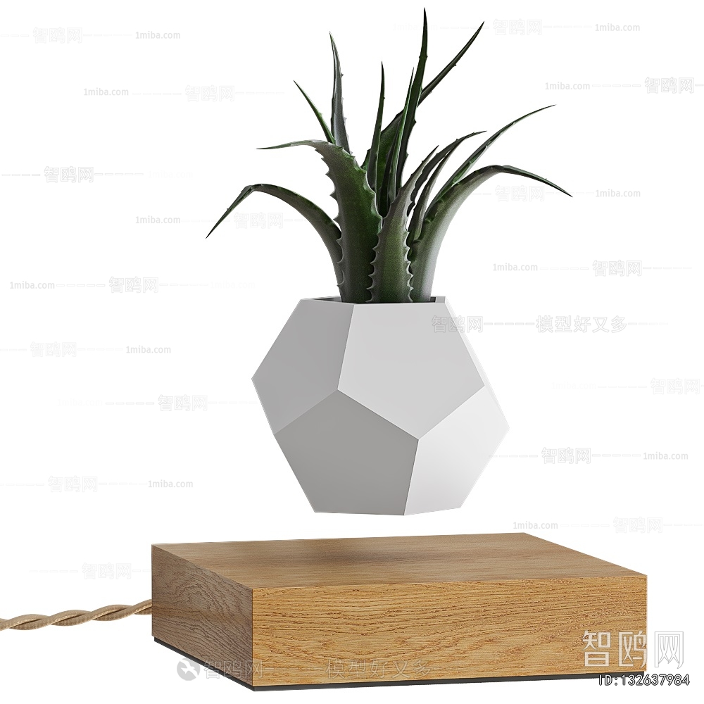 Modern Desktop Plant