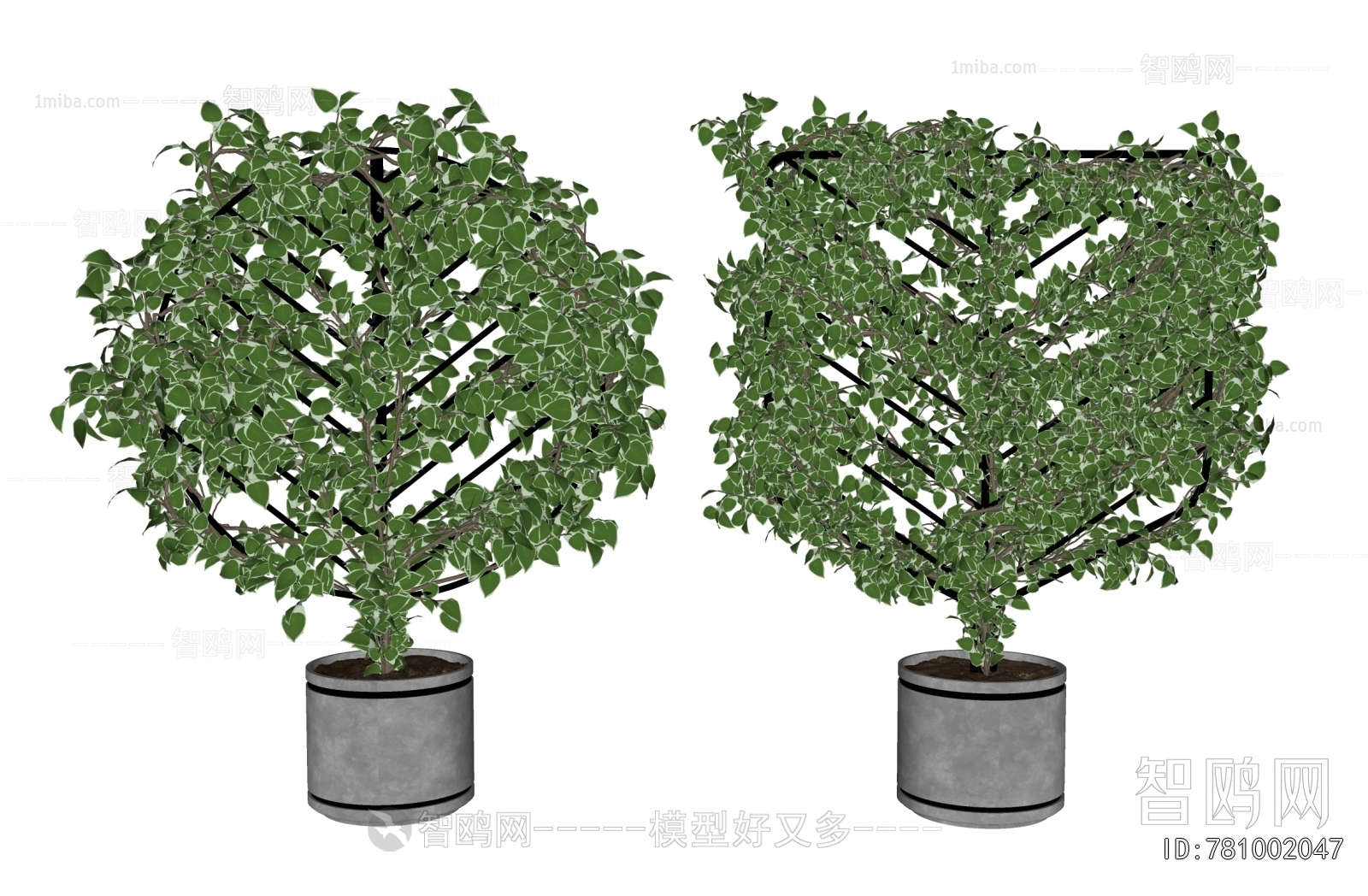 Modern Ground Green Plant Potted Plants