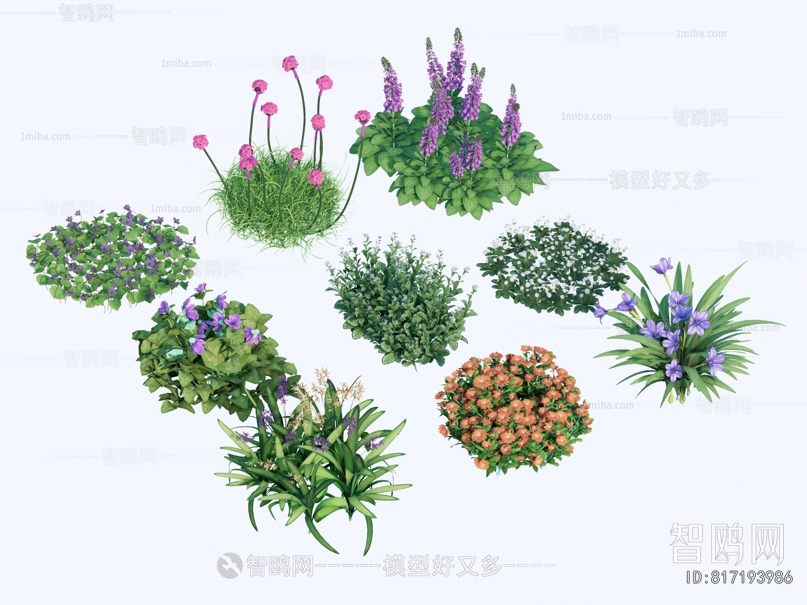 Modern Flowers And Grass