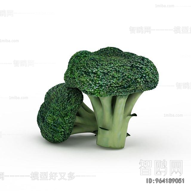 Modern Vegetables