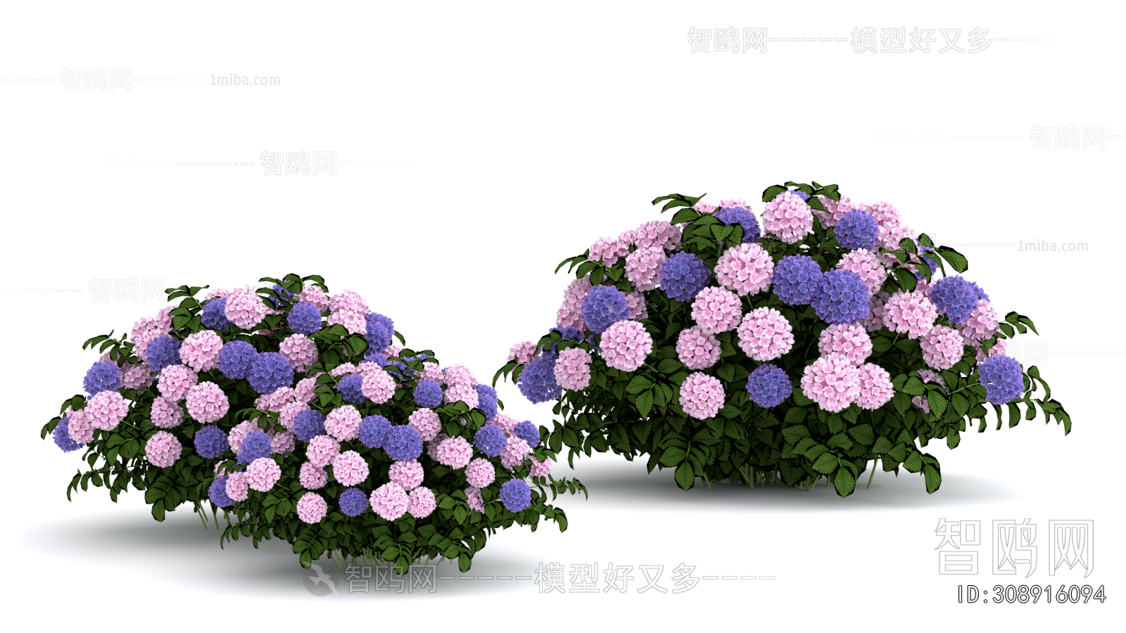 Modern Flowers And Grass