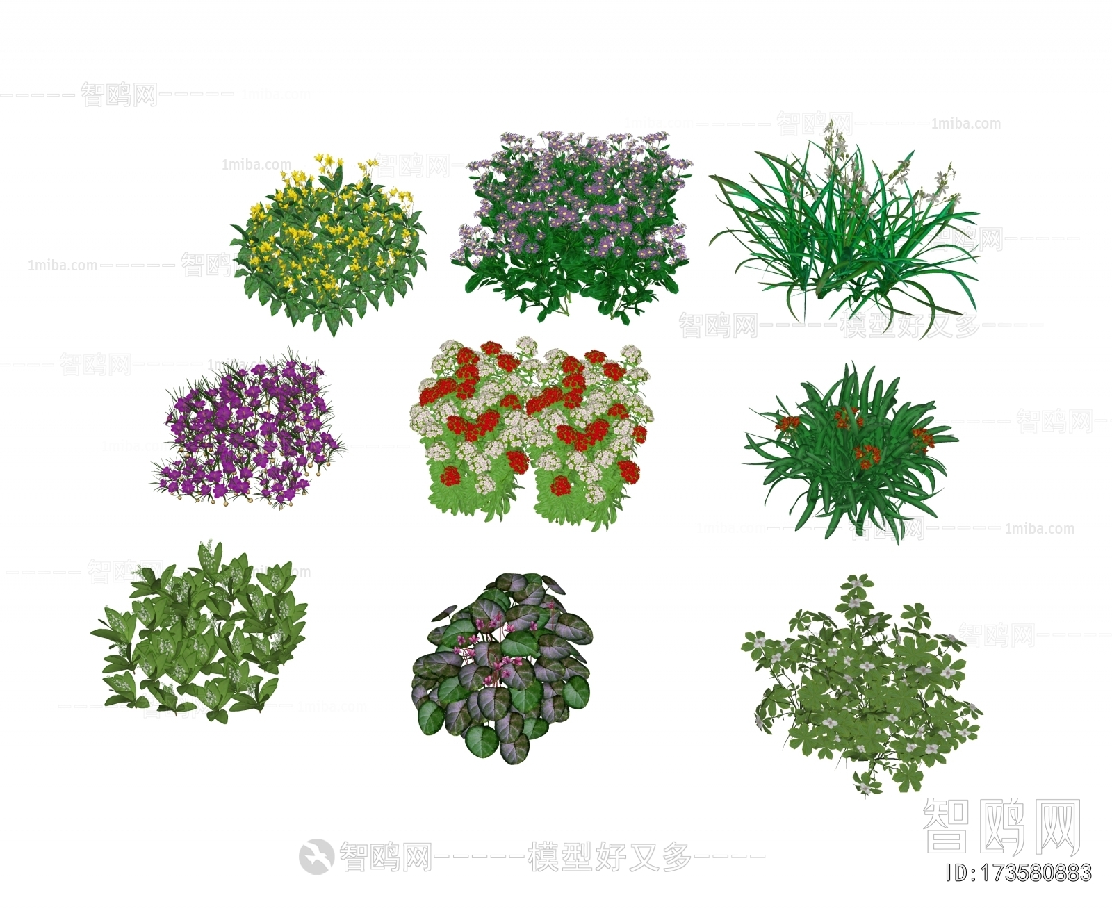 Modern Flowers And Grass