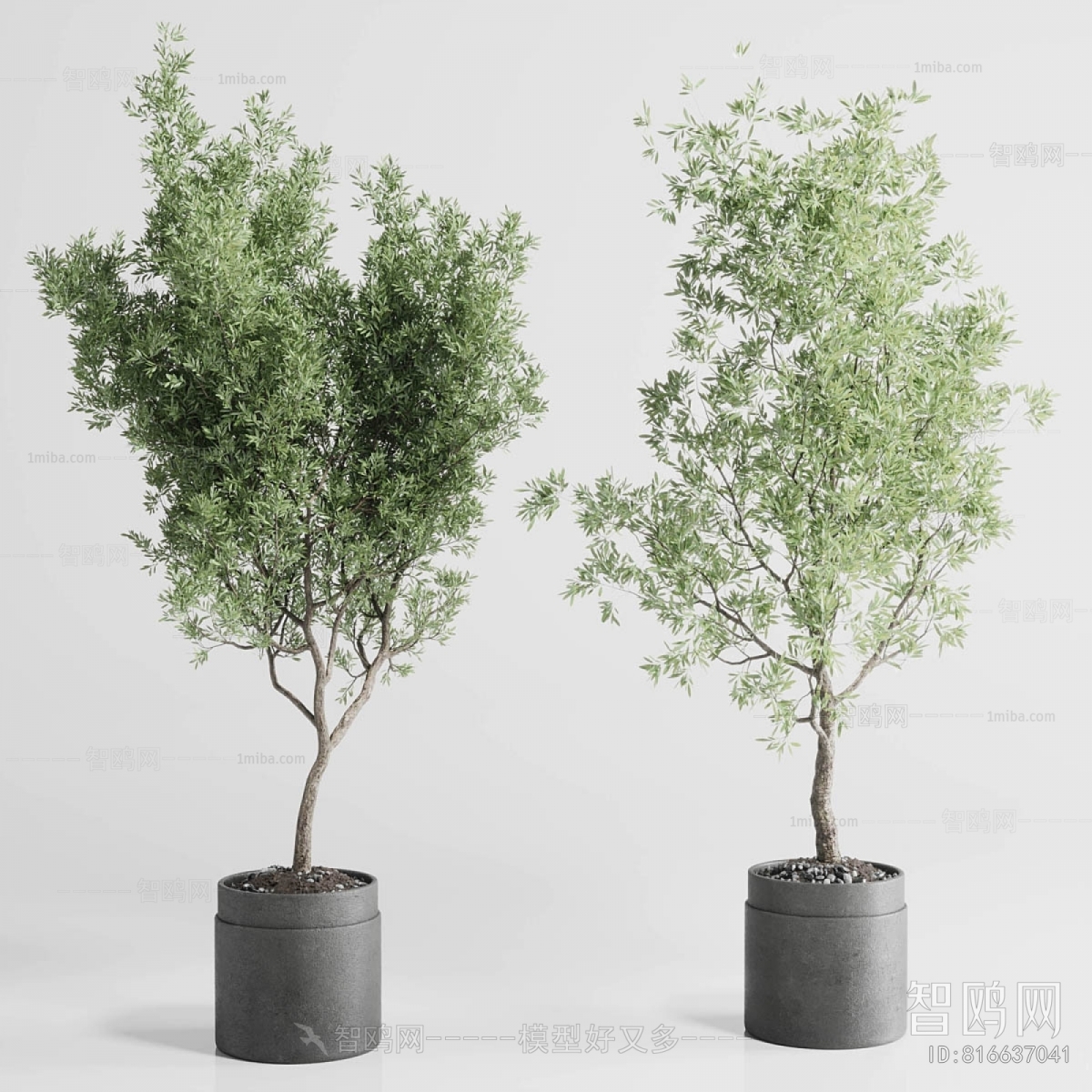 Modern Ground Green Plant Potted Plants