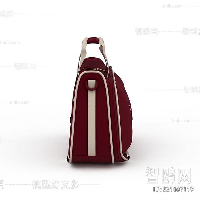 Modern Lady's Bag