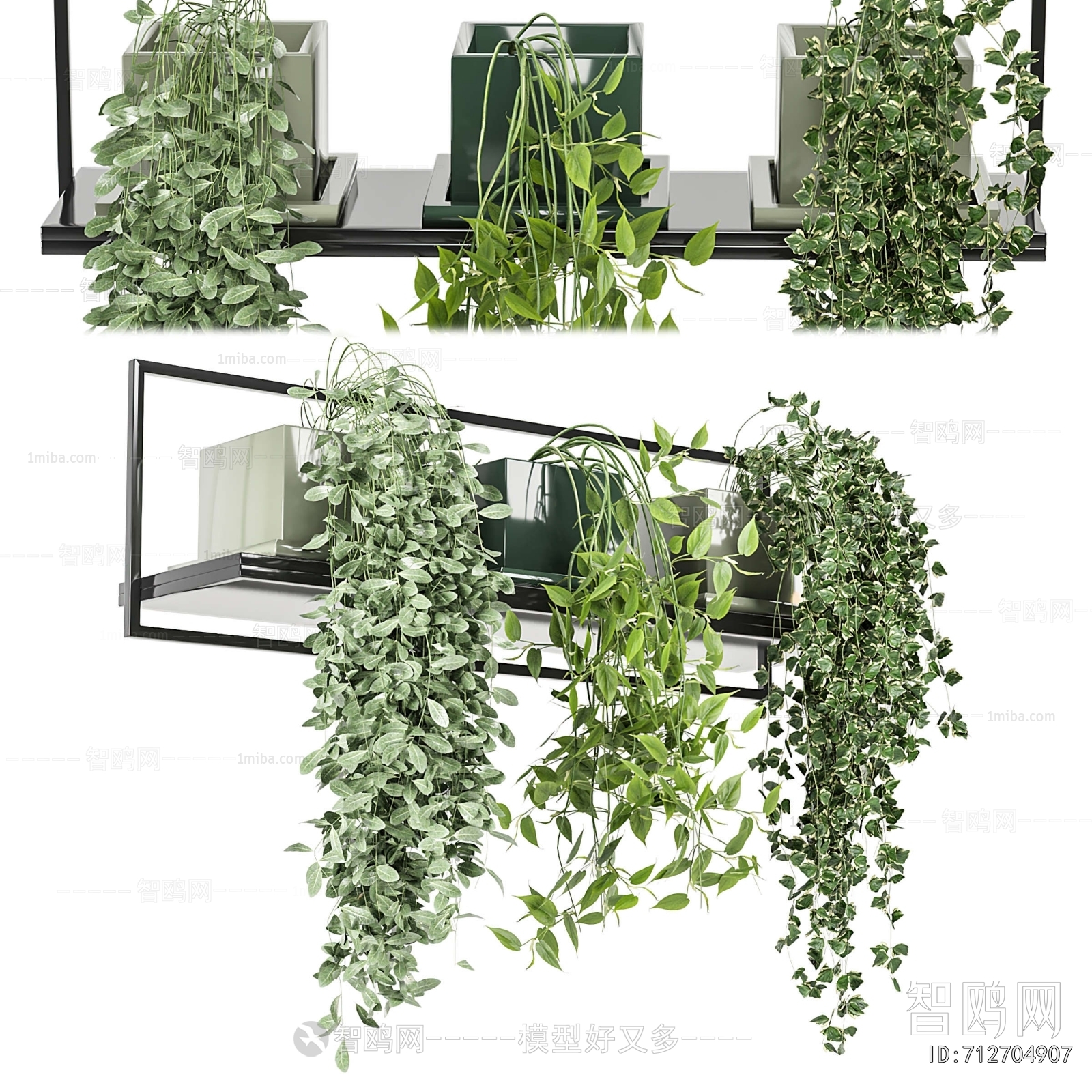 Modern Potted Green Plant