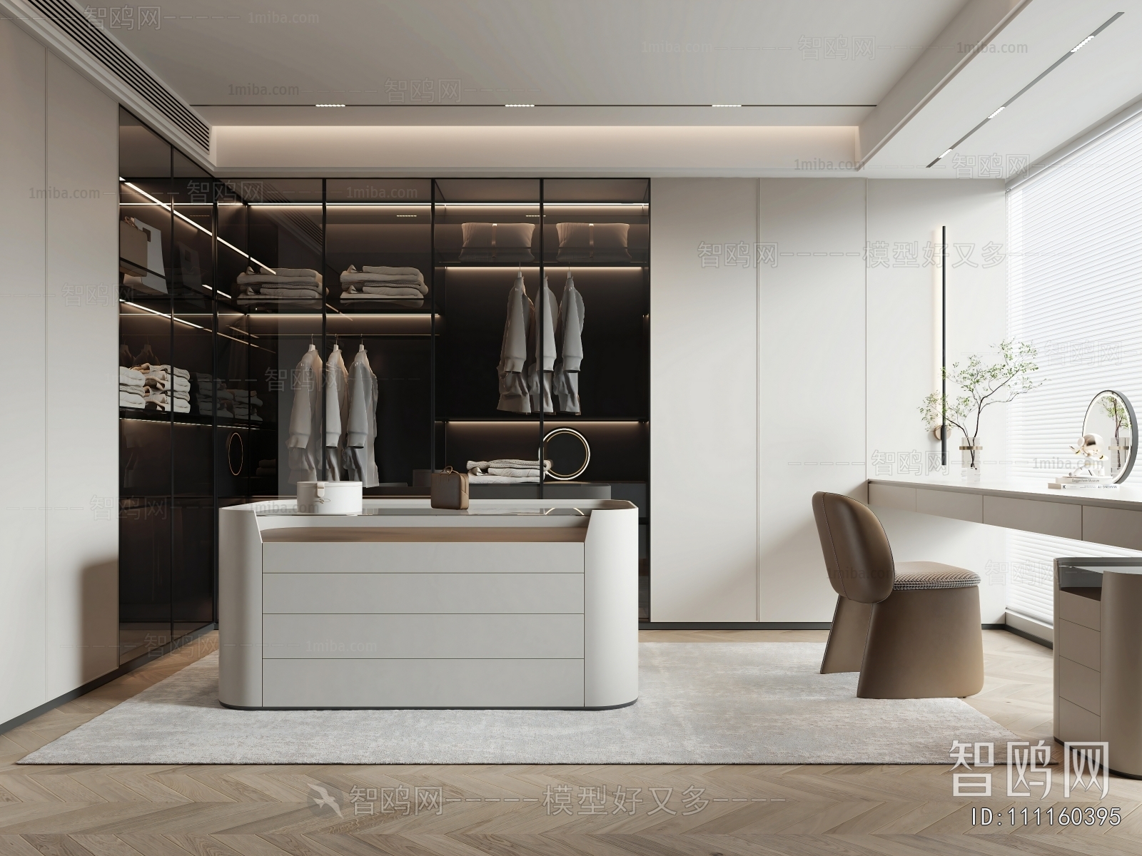 Modern Clothes Storage Area