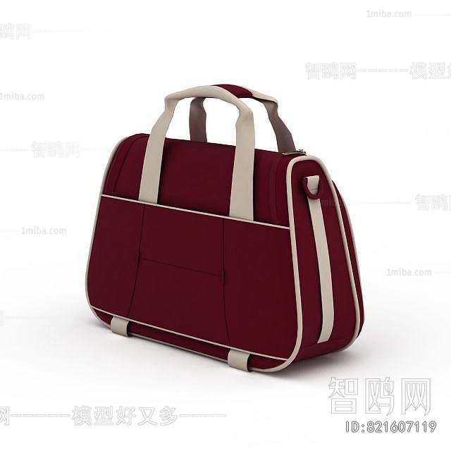 Modern Lady's Bag