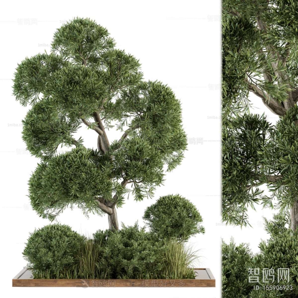 Modern Flower Bed, Flower Bowl, Flower Box