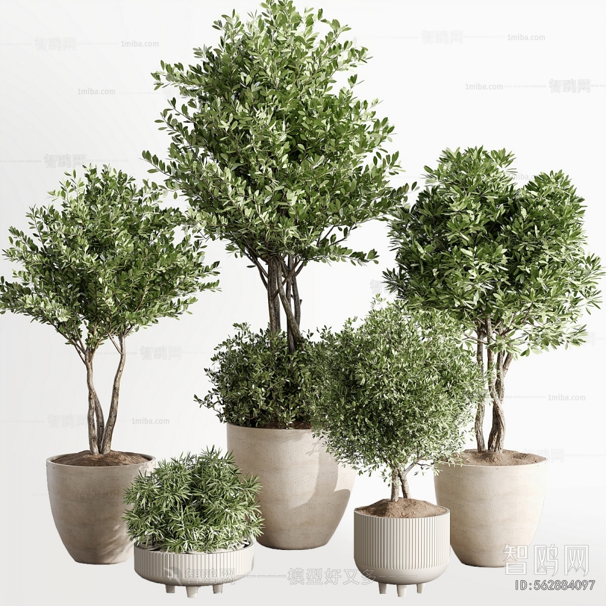 Modern Ground Green Plant Potted Plants