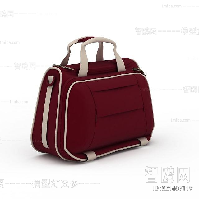 Modern Lady's Bag