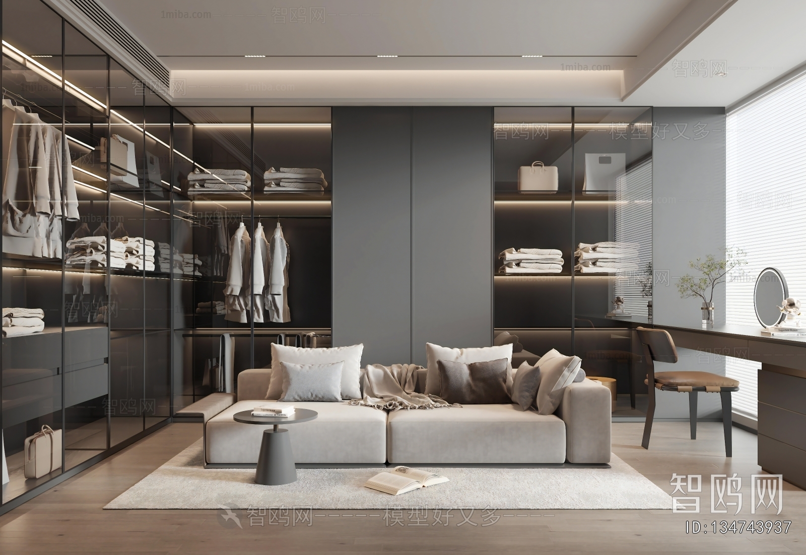 Modern Clothes Storage Area